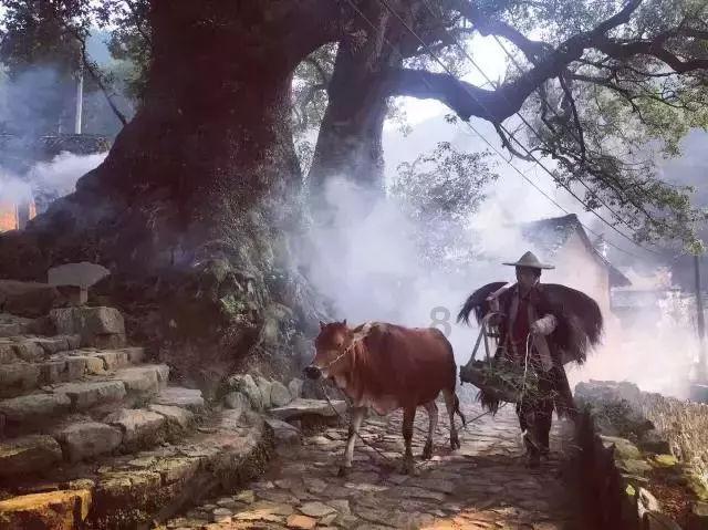 求好看的悬疑电影！游戏画面
